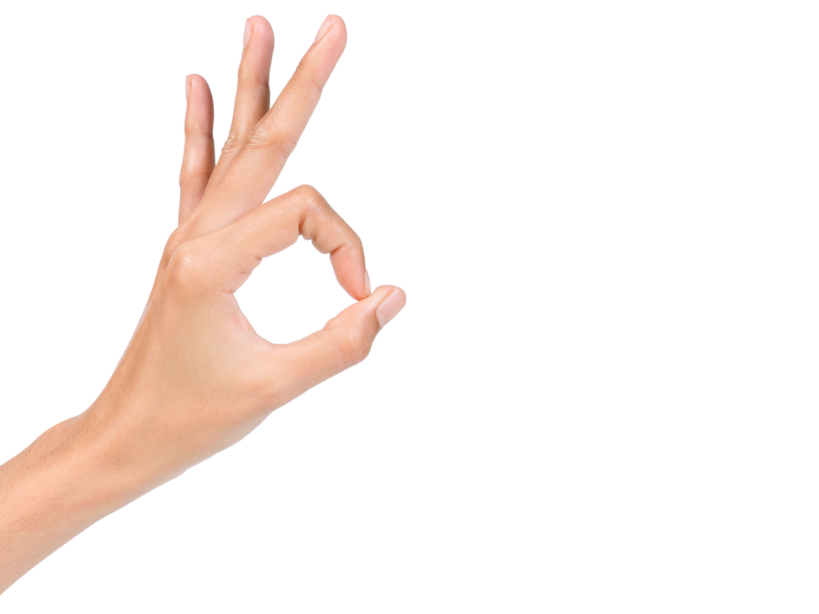 main en signe de ok pour le Diplôme Fédéral OrTra MA
